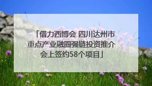 借力西博会 四川达州市重点产业融圈强链投资推介会上签约58个项目
