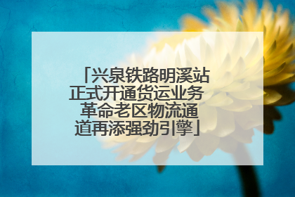 兴泉铁路明溪站正式开通货运业务 革命老区物流通道再添强劲引擎