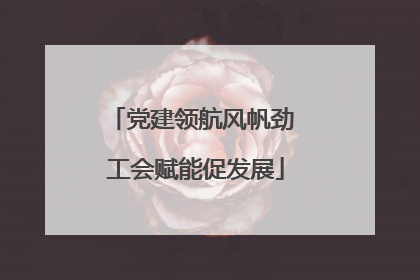 党建领航风帆劲 工会赋能促发展