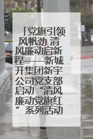 党旗引领风帆劲 清风廉动启新程——新城开集团新宇公司党支部启动“清风廉动党旗红”系列活动