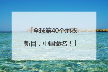全球第40个地衣新目，中国命名！