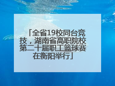 全省19校同台竞技，湖南省高职院校第二十届职工篮球赛在衡阳举行