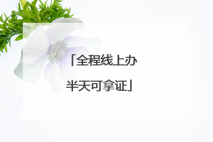全程线上办 半天可拿证