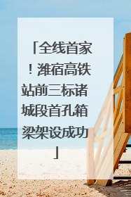 全线首家！潍宿高铁站前三标诸城段首孔箱梁架设成功