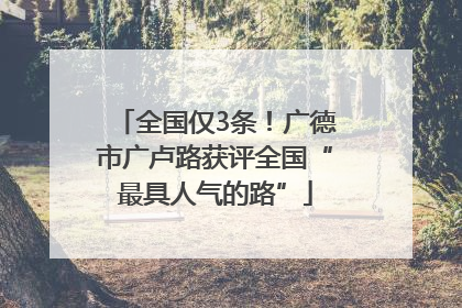 全国仅3条！广德市广卢路获评全国“最具人气的路”