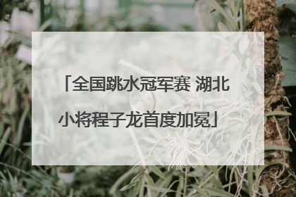 全国跳水冠军赛 湖北小将程子龙首度加冕