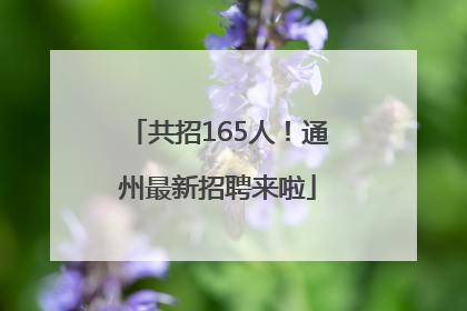 共招165人！通州最新招聘来啦
