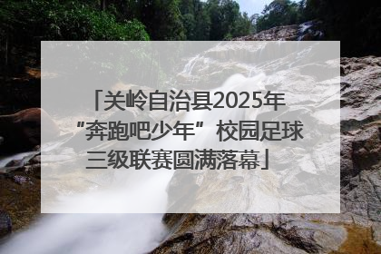 关岭自治县2025年“奔跑吧少年”校园足球三级联赛圆满落幕