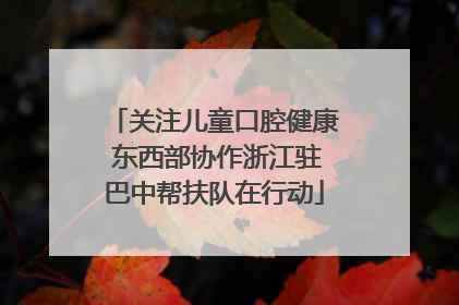关注儿童口腔健康 东西部协作浙江驻巴中帮扶队在行动