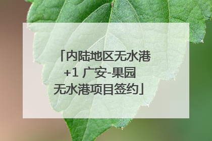 内陆地区无水港+1 广安-果园无水港项目签约