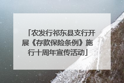 农发行祁东县支行开展《存款保险条例》施行十周年宣传活动