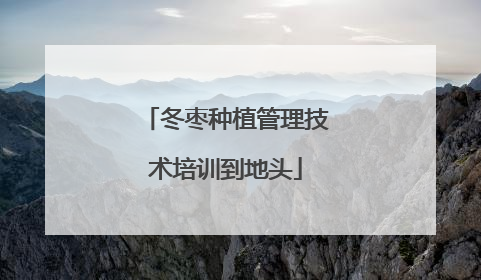 冬枣种植管理技术培训到地头