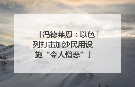 冯德莱恩：以色列打击加沙民用设施“令人憎恶”