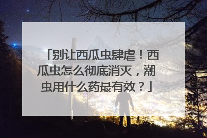 别让西瓜虫肆虐！西瓜虫怎么彻底消灭，潮虫用什么药最有效？
