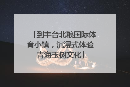 到丰台北粮国际体育小镇，沉浸式体验青海玉树文化