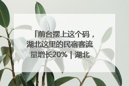 前台摆上这个码，湖北这里的民宿客流量增长20%｜湖北市场监管所的故事