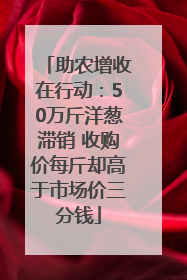 助农增收在行动：50万斤洋葱滞销 收购价每斤却高于市场价三分钱