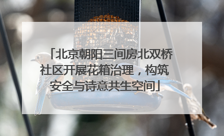 北京朝阳三间房北双桥社区开展花箱治理，构筑安全与诗意共生空间