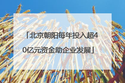 北京朝阳每年投入超40亿元资金助企业发展