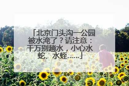 北京门头沟一公园被水淹了？请注意：千万别趟水，小心水蛇、水蛭……