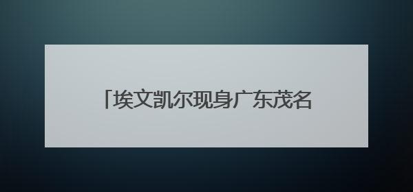 埃文凯尔现身广东茂名 赏千年荔枝树 上演无间道式“荔枝自由”