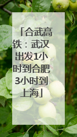 合武高铁：武汉出发1小时到合肥3小时到上海