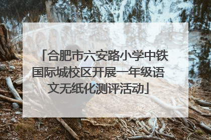 合肥市六安路小学中铁国际城校区开展一年级语文无纸化测评活动