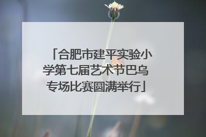 合肥市建平实验小学第七届艺术节巴乌专场比赛圆满举行