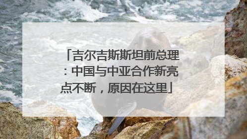 吉尔吉斯斯坦前总理：中国与中亚合作新亮点不断，原因在这里