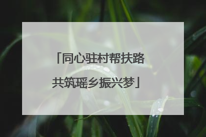 同心驻村帮扶路 共筑瑶乡振兴梦