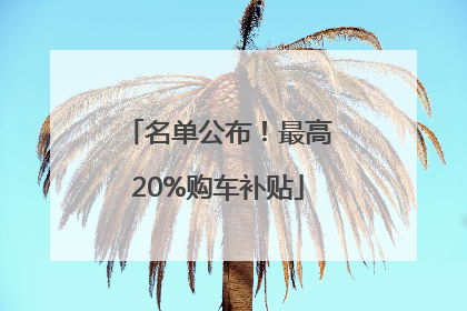 名单公布！最高20%购车补贴