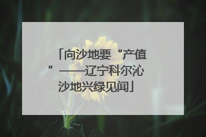 向沙地要“产值”——辽宁科尔沁沙地兴绿见闻