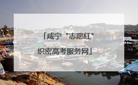 咸宁“志愿红”织密高考服务网
