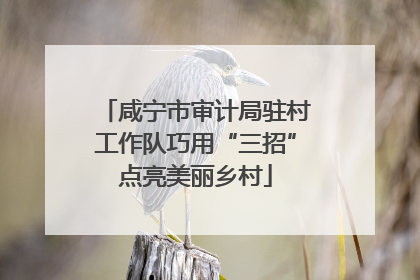 咸宁市审计局驻村工作队巧用“三招”点亮美丽乡村
