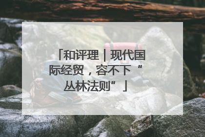 和评理｜现代国际经贸，容不下“丛林法则”