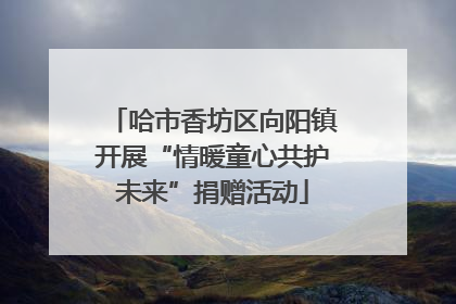 哈市香坊区向阳镇开展“情暖童心共护未来”捐赠活动