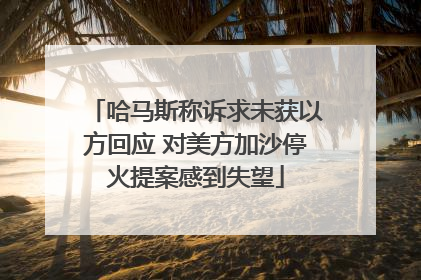 哈马斯称诉求未获以方回应 对美方加沙停火提案感到失望