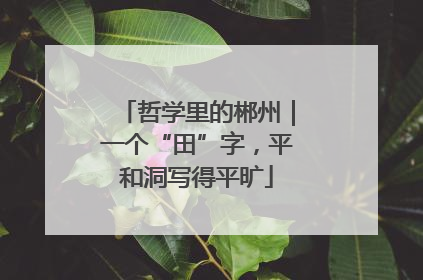 哲学里的郴州｜一个“田”字，平和洞写得平旷