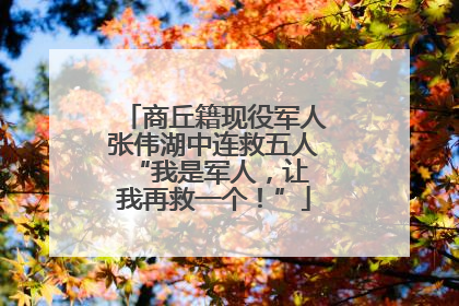 商丘籍现役军人张伟湖中连救五人 “我是军人，让我再救一个！”
