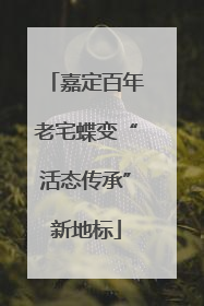 嘉定百年老宅蝶变“活态传承”新地标