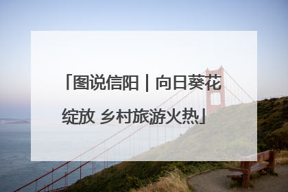 图说信阳｜向日葵花绽放 乡村旅游火热