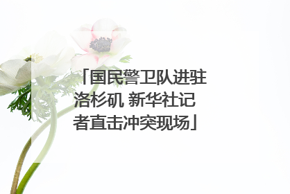 国民警卫队进驻洛杉矶 新华社记者直击冲突现场