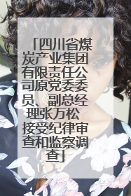 四川省煤炭产业集团有限责任公司原党委委员、副总经理张万松 接受纪律审查和监察调查