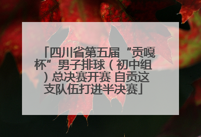 四川省第五届“贡嘎杯”男子排球（初中组）总决赛开赛 自贡这支队伍打进半决赛