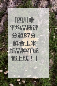 四川唯一平均品质评分超87分 鲜食玉米新品种在成都上线！
