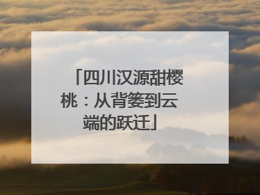 四川汉源甜樱桃：从背篓到云端的跃迁