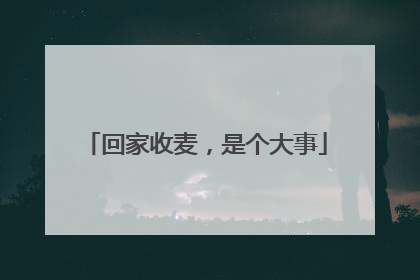 回家收麦，是个大事