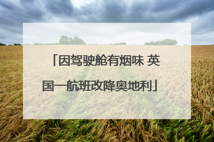 因驾驶舱有烟味 英国一航班改降奥地利