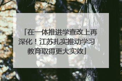 在一体推进学查改上再深化！江苏扎实推动学习教育取得更大实效