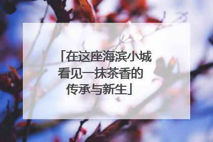 在这座海滨小城 看见一抹茶香的传承与新生
